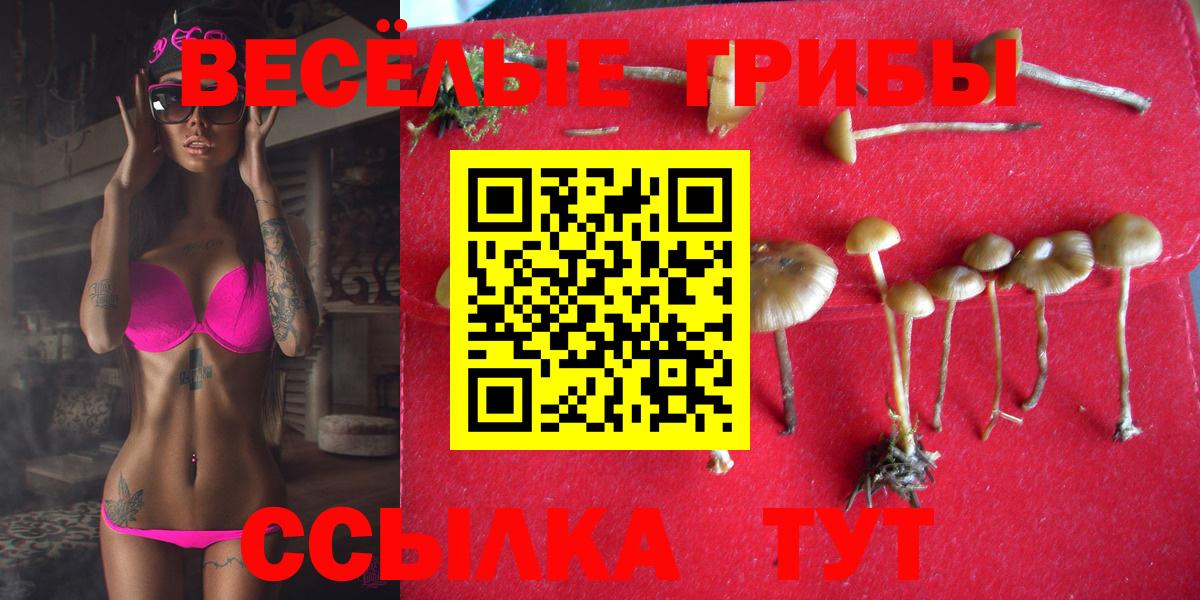 Медногорск  Галлюциногенные грибы Magic Shrooms  Вход с VPN 