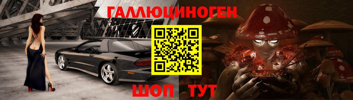 Псилоцибиновые грибы Psilocybine cubensis Медногорск